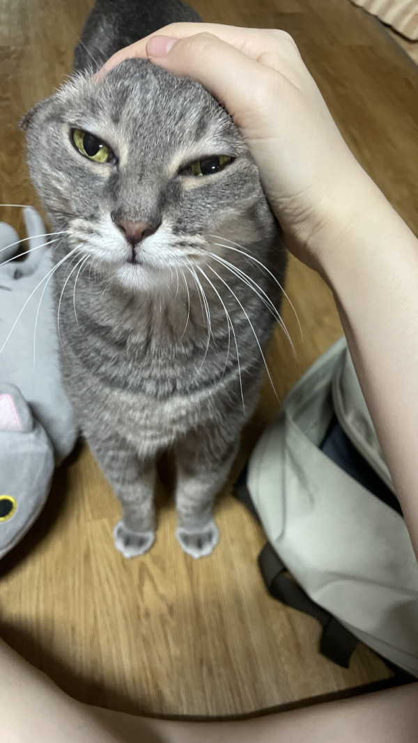 96551816-A5D3-4433-BB7E-8E5F09C6D24E_1_201_a.jpeg