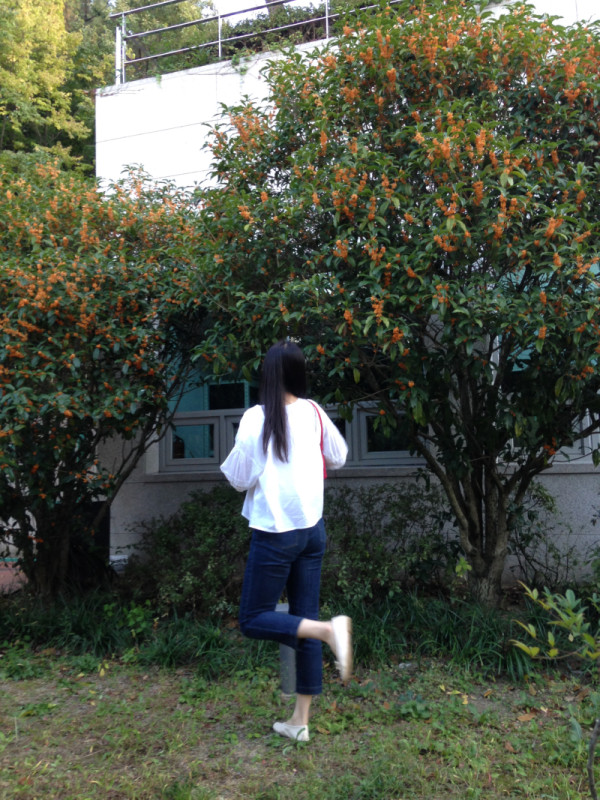 A7205B06-3F77-45CD-ACC0-66B580914938.jpeg